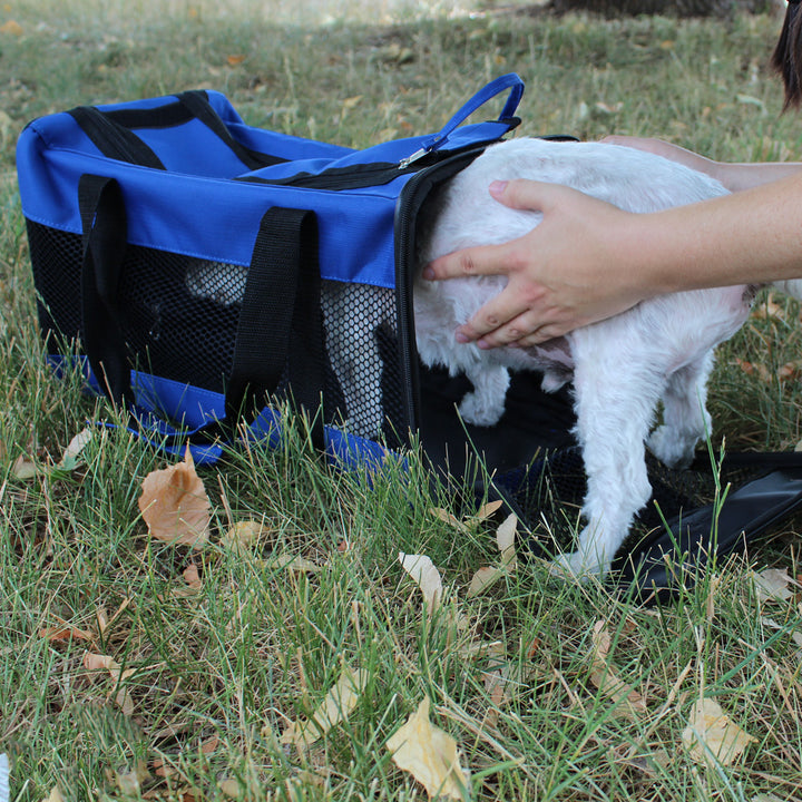 Small Dog Deluxe Emergency Survival Kit
